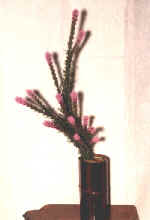 ikebana2.jpg (94053 bytes)